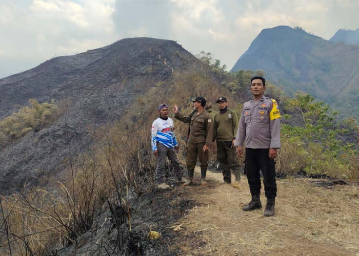 Update Kebakaran Hutan di Pegunungan Anjasmoro Mojokerto, Area Bukit Kencur Padam