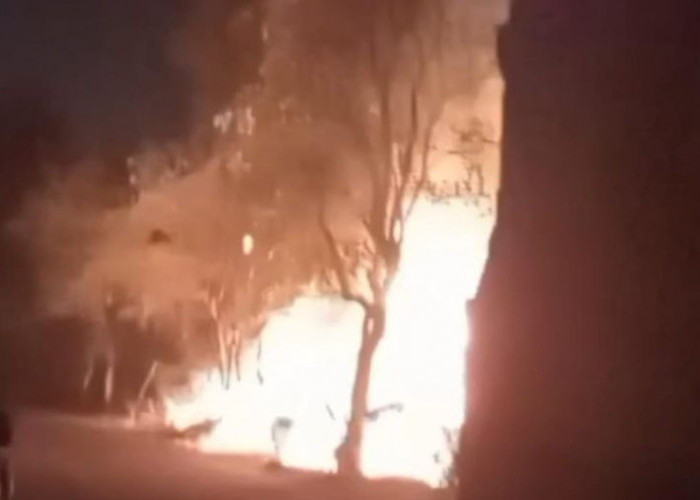 Ditinggal Pemiliknya, Warung di Kota  Mojokerto Terbakar