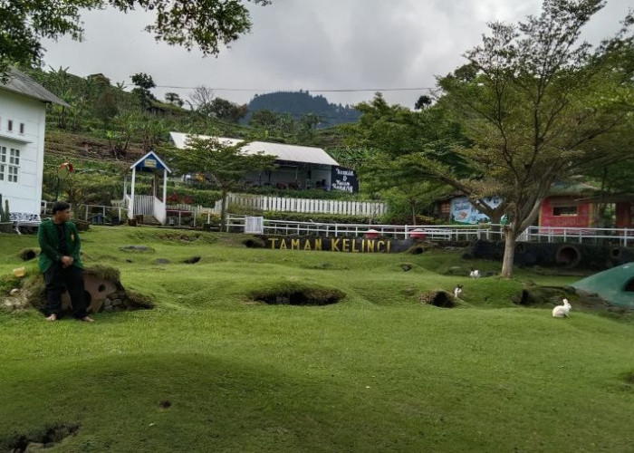 Taman Kelinci Padusan Park Pacet Mojokerto, Rekreasi Alam sekaligus Wisata Edukatif 
