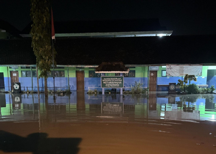 Banjir Luapan Rendam Dua Desa di Kemlagi Mojokerto, 50 Rumah Warga dan Puluhan Hektare Sawah Terdampak