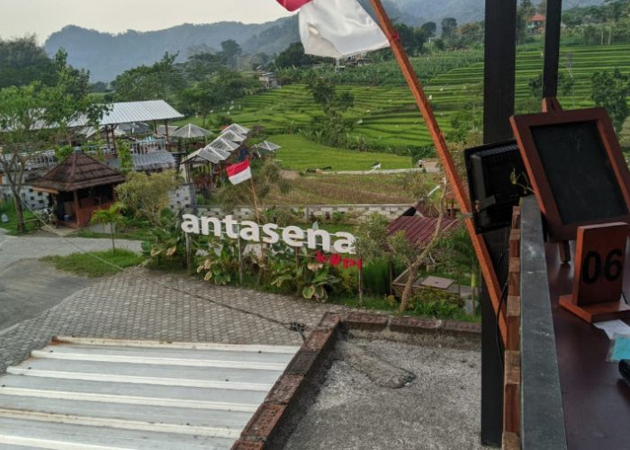 Antasena Kopi, Sensasi “Ngopi With View” di Lereng Penanggungan