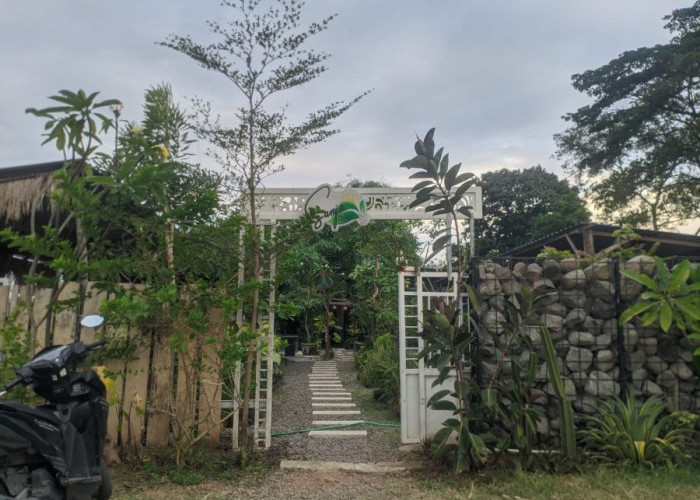 Sunja Cafe Mojosari, Mojokerto Tempat Nongkrong Tenang dengan Nuansa Sawah
