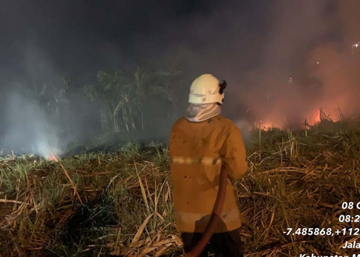 Lahan Tebu di Sooko Terbakar, 3 Unit PMK Dikerahkan