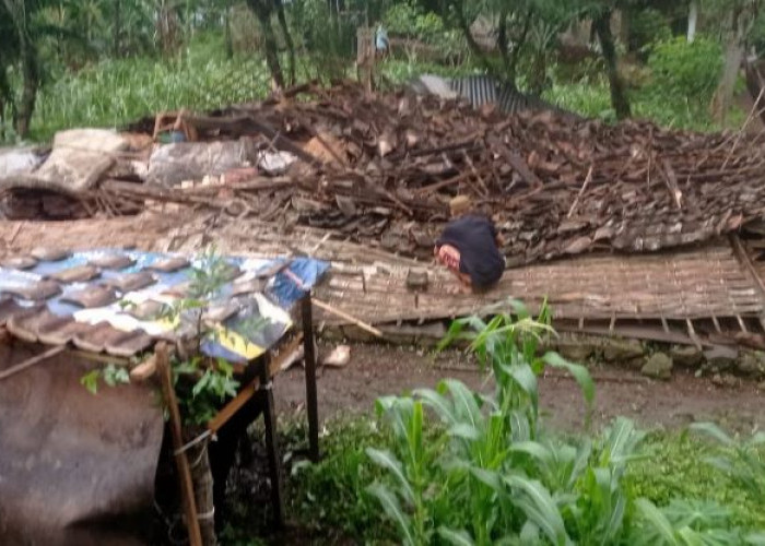 Pemkab Mojokerto Alokasikan Rp 25 Juta untuk 7 Rumah Terdampak Angin Puting Beliung di Ngoro 