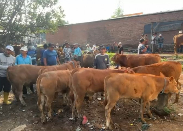 Kementrian Lingkungan Hidup  Keluarkan SE Perayaan IdulAdha Tanpa Sampah Plastik 