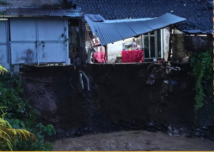 Lagi, Dihajar Hujan Deras, 2 Kecamatan di Jember dilanda Longsor, 5 Rumah dan Tembok Sungai Rusak