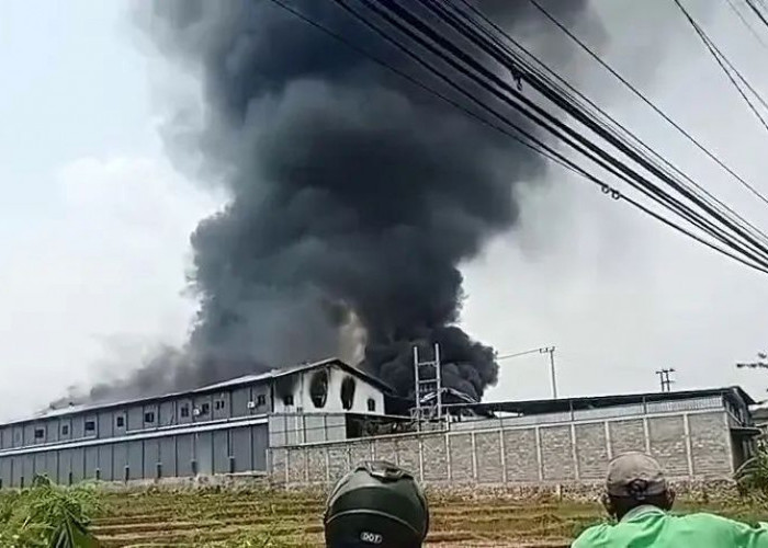 Pabrik Sepatu di Dlanggu Mojokerto Terbakar, 6 Unit PMK 1 Water Cannon Dikerahkan untuk Pemadaman
