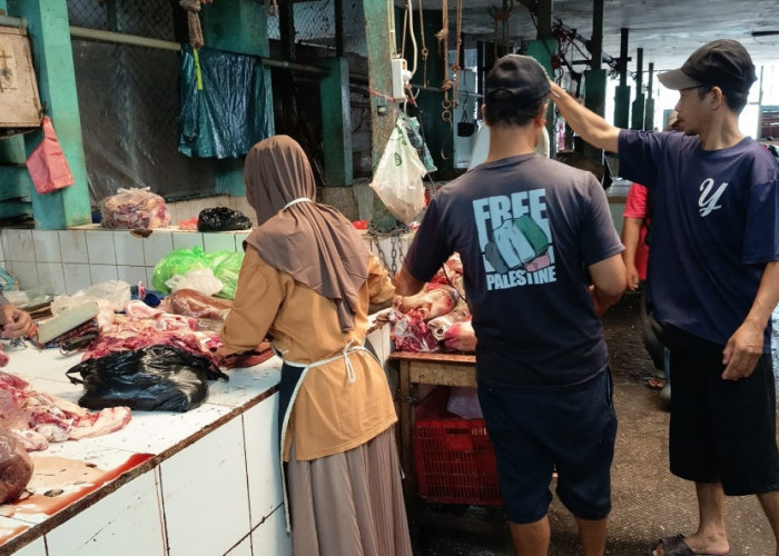 Harga Daging Ayam dan Cabai di Jember Fluktuatif, Stabilitas dan Pasokan Bapokting Terjaga