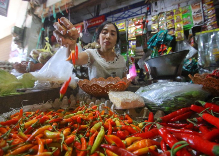 Harga Cabai Rawit di Mojokerto Tembus Rp70 Ribu, Pembeli Kini Cuma Berani Beli Setengah Ons