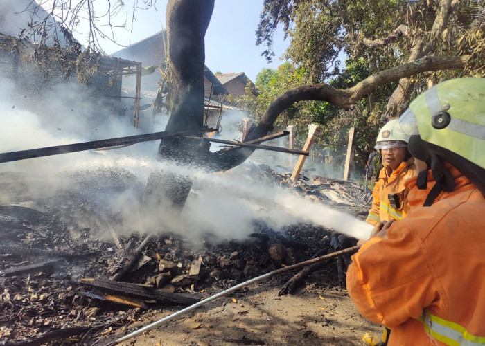 Bakar Bangkai Ayam, Gudang di Jetis Mojokerto Dilalap si Jago Merah