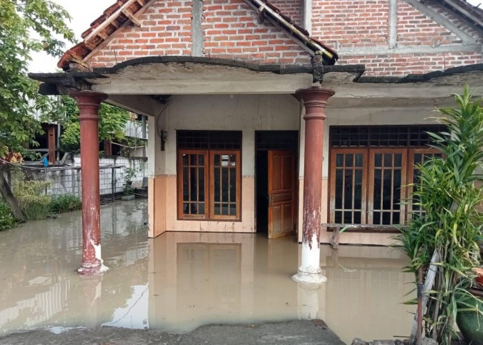 Rumah Warga di Dawarblandong Mojokerto Terendam Banjir Akibat Luapan Afur Sungai Lamong