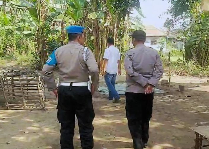 Lokasi Diduga Arena Sabung Ayam di Pungging Mojokerto Dibongkar dan Dibakar Petugas