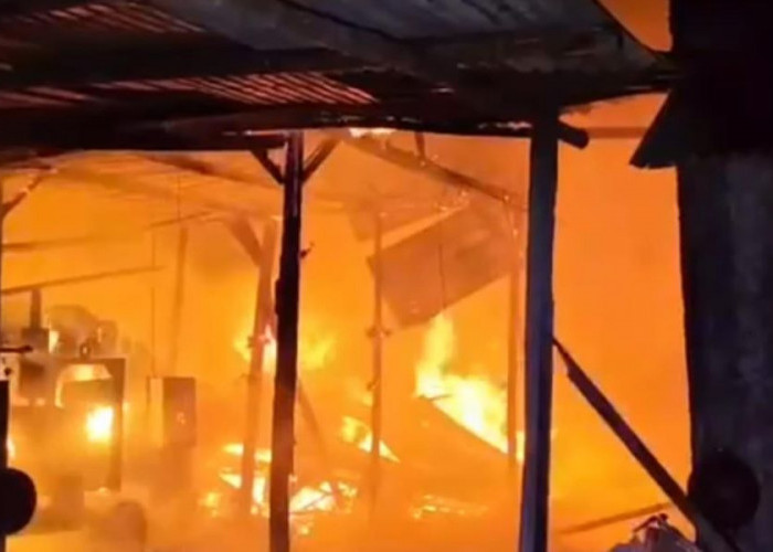 Kebakaran Hanguskan Kandang Ayam di Jatirejo Mojokerto, Ribuan Ekor Anak Ayam Terpanggang