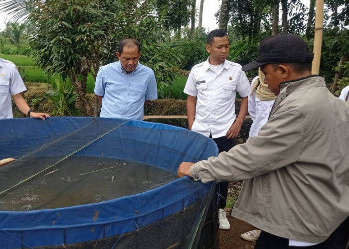 Tinjau Kolam Bioflok, DKPPP Jember Pastikan Program Satu Kolam Satu Keluarga Lancar