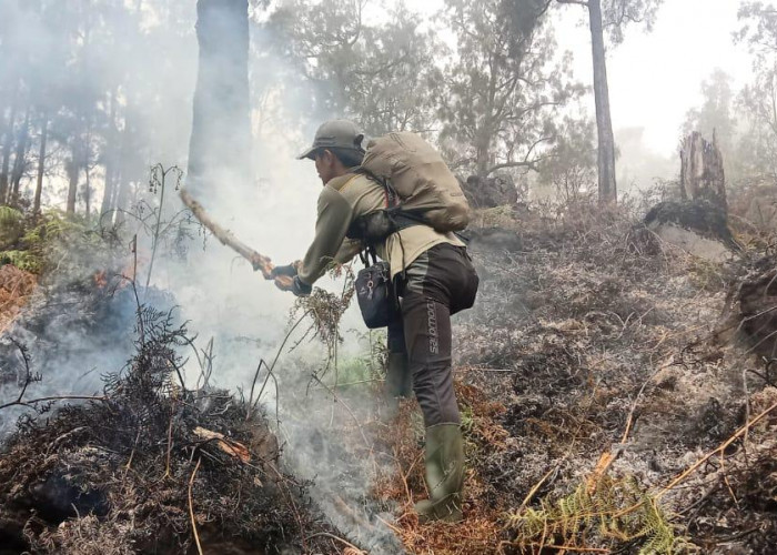 Hutan Gunung Arjuno Terbakar, Ancaman Kawasan Hutan di Trawas, Mojokerto
