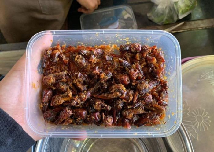 Yuk, Mencoba Kuliner Ekstrem Khas Dawarblandong Mojokerto :  Walang Goreng