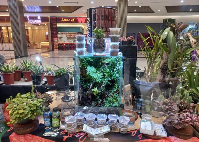 Pameran Flora di Sunrise Mall Mojokerto, Kenalkan Terarium Hingga Pajang Aneka Tanaman Hias