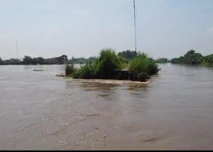 Sebabkan Banjir, Tanggul Sungai Sadar Mojosari Jebol Segera Mendapatkan Penanganan Darurat