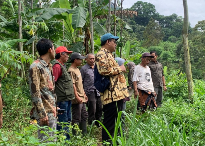 Tim Mewlafor Kemenhut Kunjungi KTH Alas di Trawas, Bakal Ada Panen 6 Ribu Pohon Durian