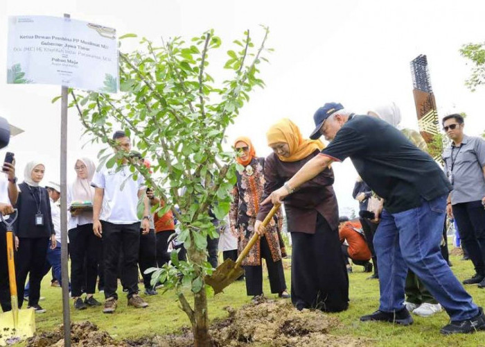  Pohon Maja Simbol Berdirinya Kerajaan Besar Majapahit Ditanam Gubernur Khofifah di IKN