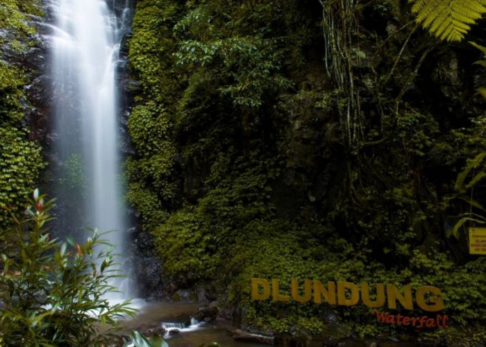 7 Air Terjun Ramah Keluarga di Jawa Timur, Destinasi Healing Usai Ramadan