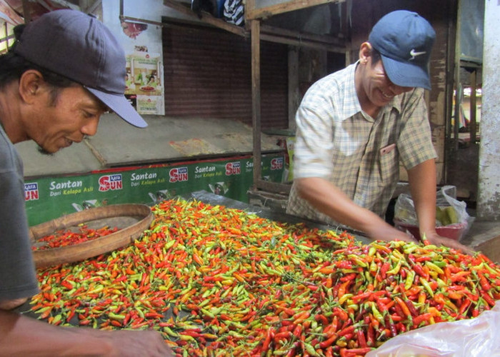 Cuaca Ekstrem, Kenaikan Harga Cabai Rawit Penyumbang Inflasi Tertinggi di Mojokerto Pada Januari 2025