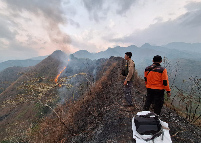 Sempat Padam, Api Kembali Membakar Gugusan Gunung Anjasmoro Mojokerto