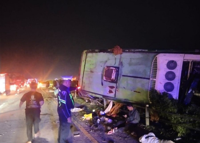 Bus Restu Terguling di Tol Jombang-Mojokerto, Satu Tewas dan 11 Luka - luka