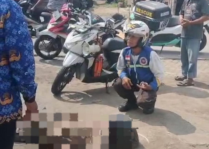 Alami Kecelakaan Tunggal, Anggota Satpol PP Puri Mojokerto Tewas Usai Tabrak Pagar Beton
