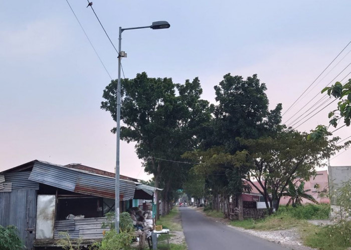 Pemkab Mojokerto Siapkan 2.020 Bohlam untuk Ganti Lampu PJU Mati 