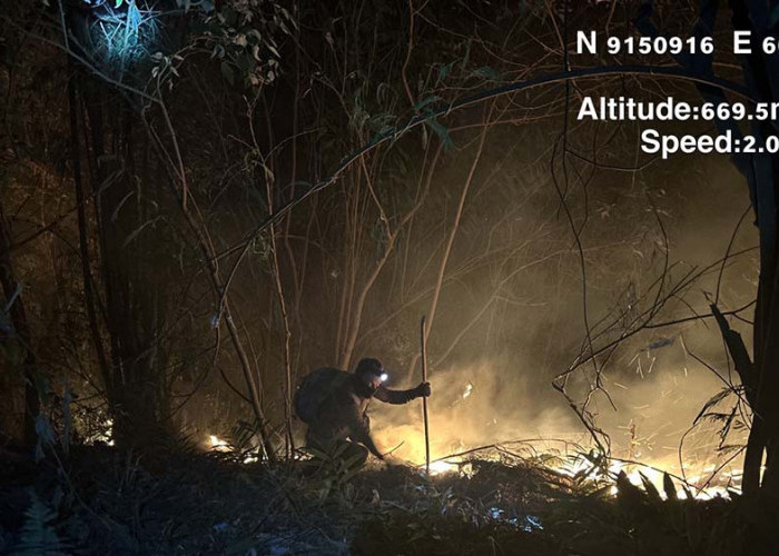 Kebakaran Hutan di Gugusan Gunung Anjasmaro Mojokerto  Selama Sepekan Akhirnya Padam
