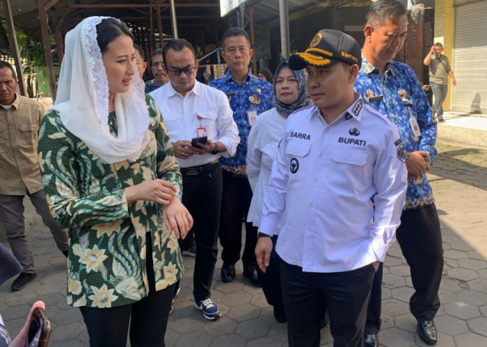 Sidak Pasar Raya Mojosari, Mojokerto, Wamen Perdagangan Isyaratkan Harga Komoditi Normal