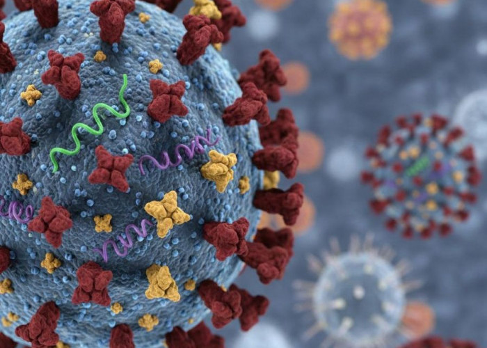 Super Flu (Influenza A(H3N2) subclade K) di Indonesia Masih Terkendali, Tak Ada Peningkatan Keparahan 