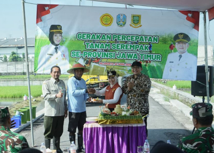 Kejar Tanam Sebelum Kemarau, Kota Mojokerto Gaspol Amankan Stok Pangan