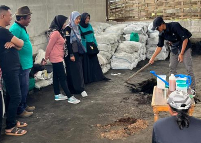 Peringati Hari ingkungan Hidup, Aliansi Air Gelar Tanam Pohon, Pelatihan Pengelolaan Sampah, dan Saresehan