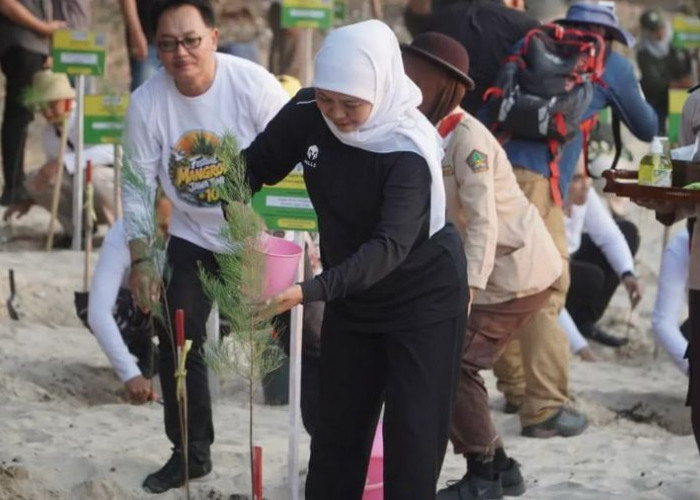 Luas Mangrove Jawa Timur Tembus 31 Ribu Hektare, Terbesar di Pulau Jawa