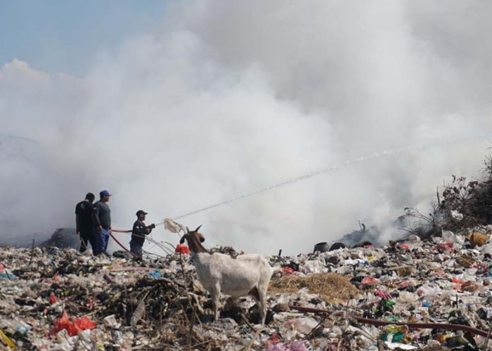 Gas Metan dan Cuaca Panas Picu Kebakaran TPA Randegan Mojokerto