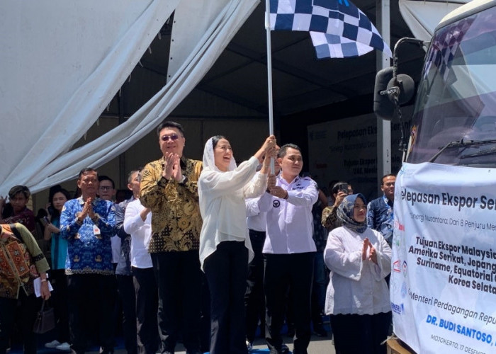 Ekspor Serentak di 8 Kota, Wamen Perdagangan Berangkatkan Ekspor PT LNK ke Malaysia