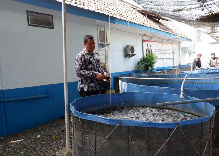 Lapas Mojokerto Kembangkan Budidaya Lele, Dukung Ketahanan Pangan Lewat Program SAE