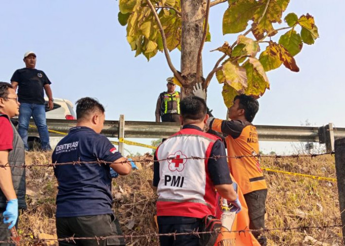 Pria 57 Tahun Ditemukan Meninggal di Sisi Tol Jombang-Mojokerto