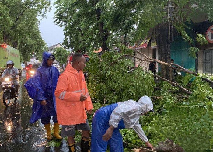 Waspada Cuaca Ekstrem di Mojokerto pada 27 Januari - 5  Februari 2025