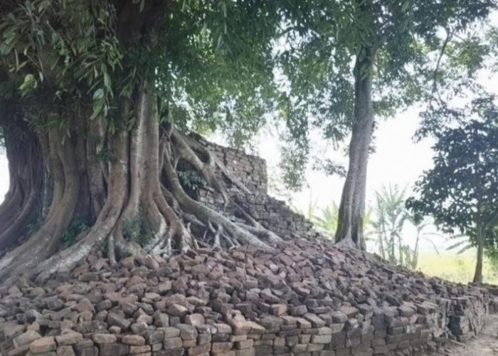Candi Deres Resmi Jadi Cagar Budaya, Jember Perkuat Perlindungan 5 Peninggalan Sejarah