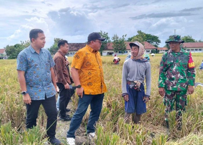 Stok Beras Mojokerto Aman Hingga Tahun Depan , Cukup Kebutuhan Masyarakat