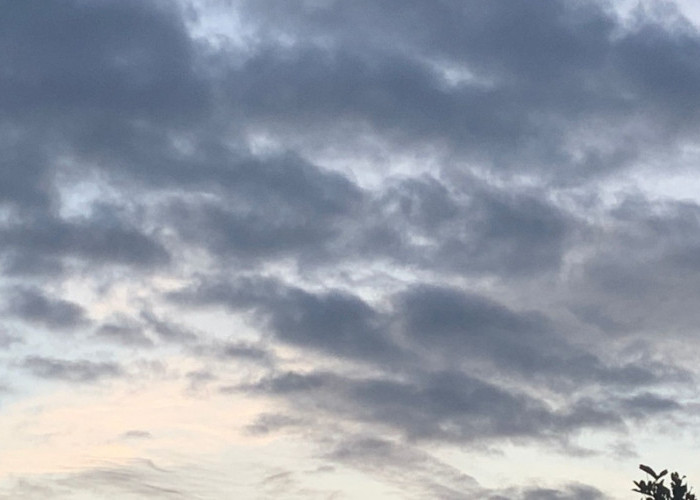 Hari ini, semua Wilayah Kecamatan di Kabupaten Mojokerto Diperkirakan Hujan