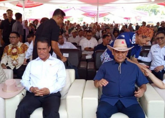 Kabupaten Jember Menjadi Tuan Rumah Festival dan Expo Sapi Jawa Timur 2025