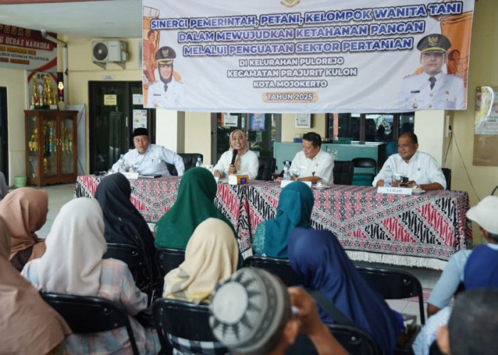 Para Petani di Pulorejo Kota Mojokerto,  Keluhkan Minimnya Alat Kerja dan Pencurian Jeruk di Lahan Sekitar TBM