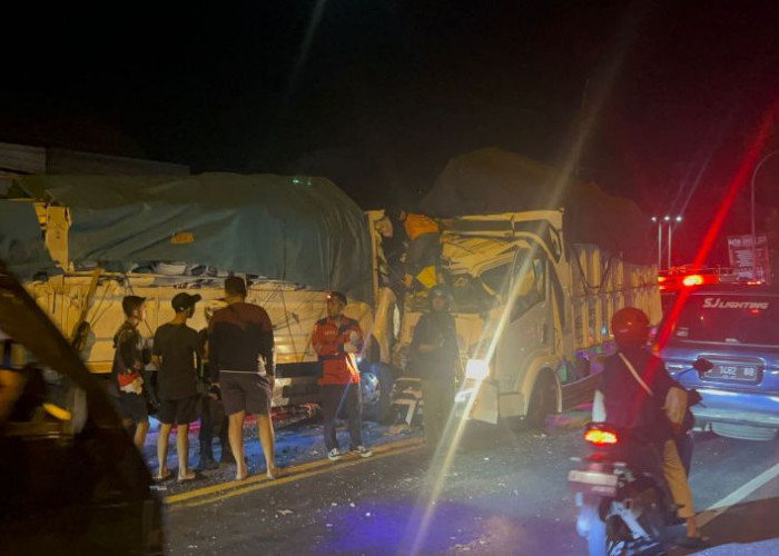Laka Truk Adu Banteng di Mojokerto, Sopir Tewas Terjepit Kabin
