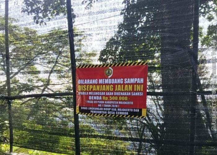 Sampah Menahun di Jurang Gembolo Mulai Dibersihkan, Petugas Turun Tebing Demi Selamatkan Kawasan Hutan