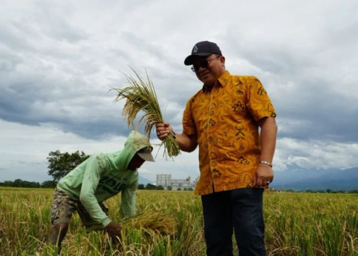 Serapan Pengadaan Beras Bulog Jatim Tembus 200 ribu ton pada Februari 2026