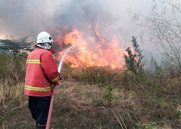 Lahan Seluas 3 Hektare di Jetis Mojokerto Terbakar